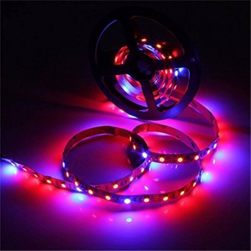 Hot Sell Wholesale Red Blue Color Led Strip Grow Lights for Romaine Lettuce Farming