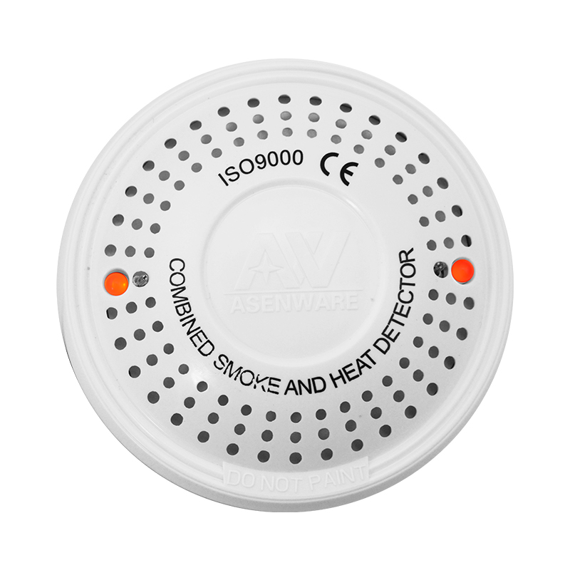 Professional alarm system with detector