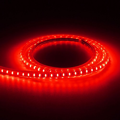 5050 SMD 60LEDs/M Decor Outdoor/ Indoor Waterproof AC220V - 240V LED Strip light With EU Power Plug Adapter