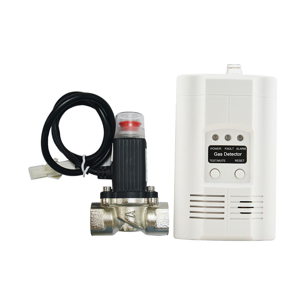 Hot security equipments stand alone combined carbon monoxide LNG gas detectors