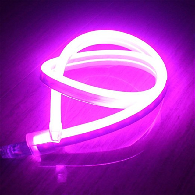 outdoor Flex Tube Sign Decorative 12V 110V 120V Commercial LED Neon Rope Lights