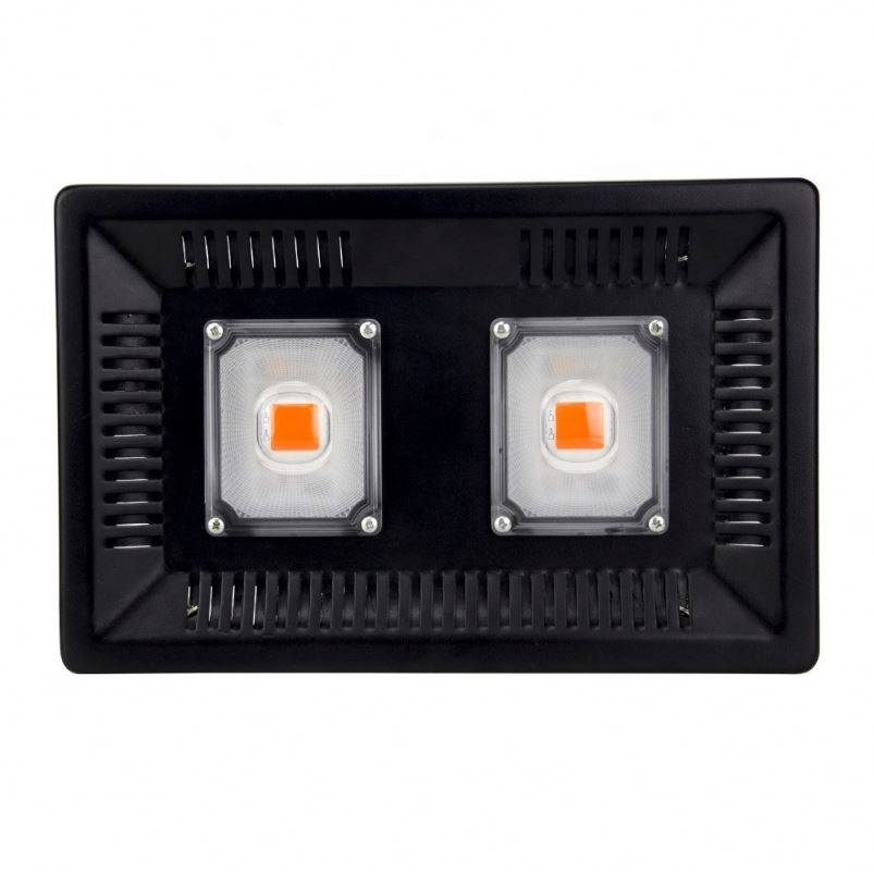 Factory  Waterproof IP67 100W Full Spectrum COB LED Grow Light Outdoor Greenhouse Indoor Plants