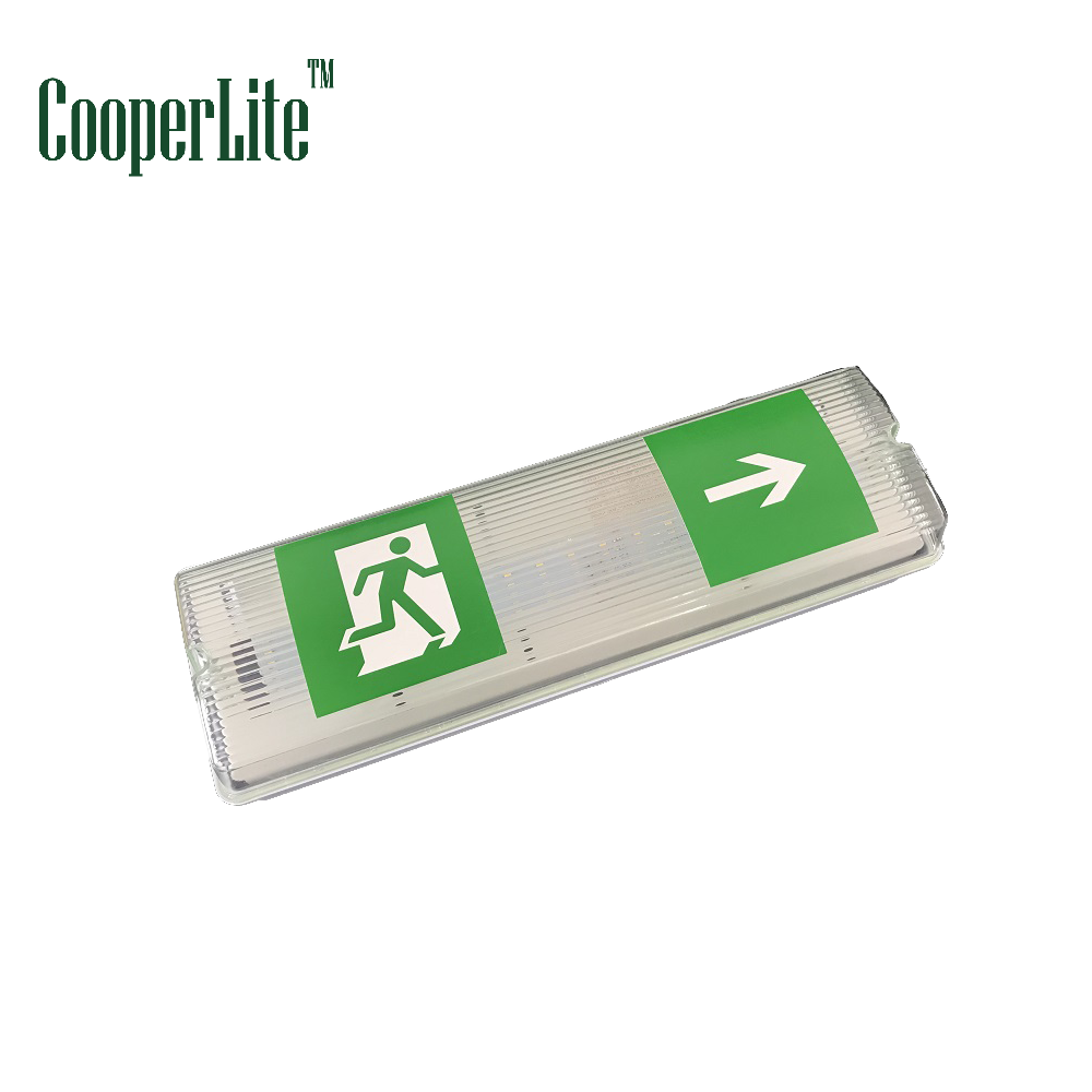 CooperLite ZL-6060 Waterproof IP65 Emergency Light