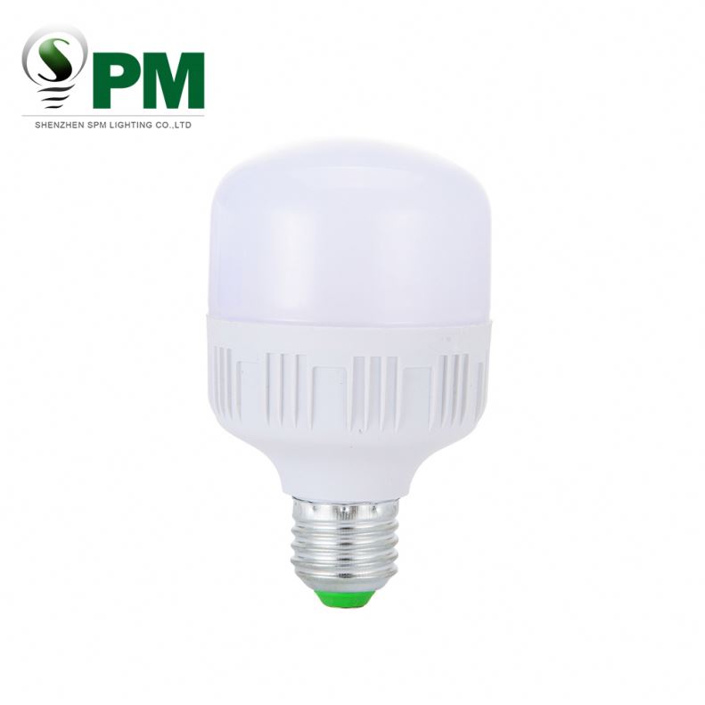 Professional a60 led light bulb 12v led bulb e27