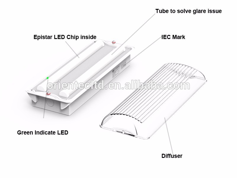 OT-HLB-30M BS5266 IEC60598-2-22 complaint 30 LED SMD waterproof smd led maintained emergency light