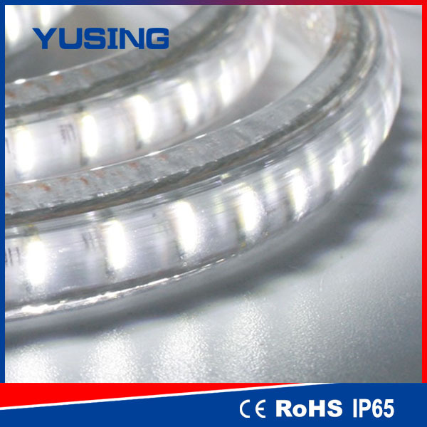 High Voltage 110/220V 60 LEDs / Meter SMD LED Strip 3014