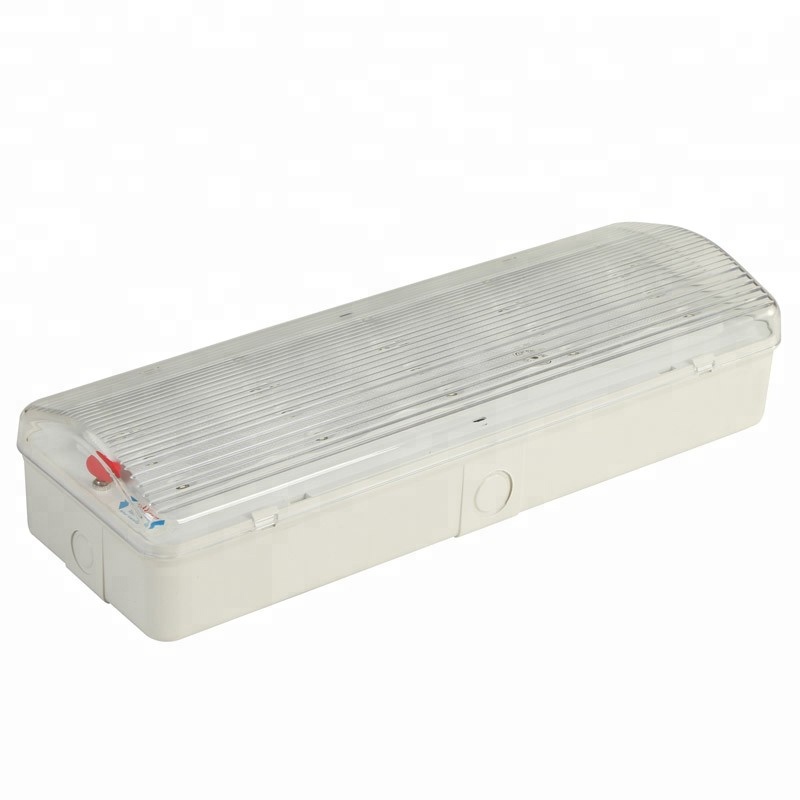 Zhuiming Ceiling Emergency Light Battery Backup LED Lighting