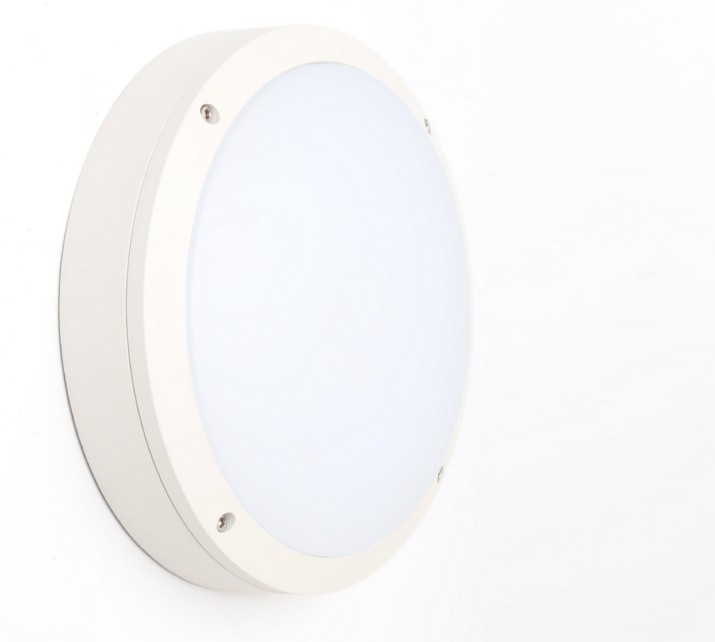 20W 2D bulkhead emergency light