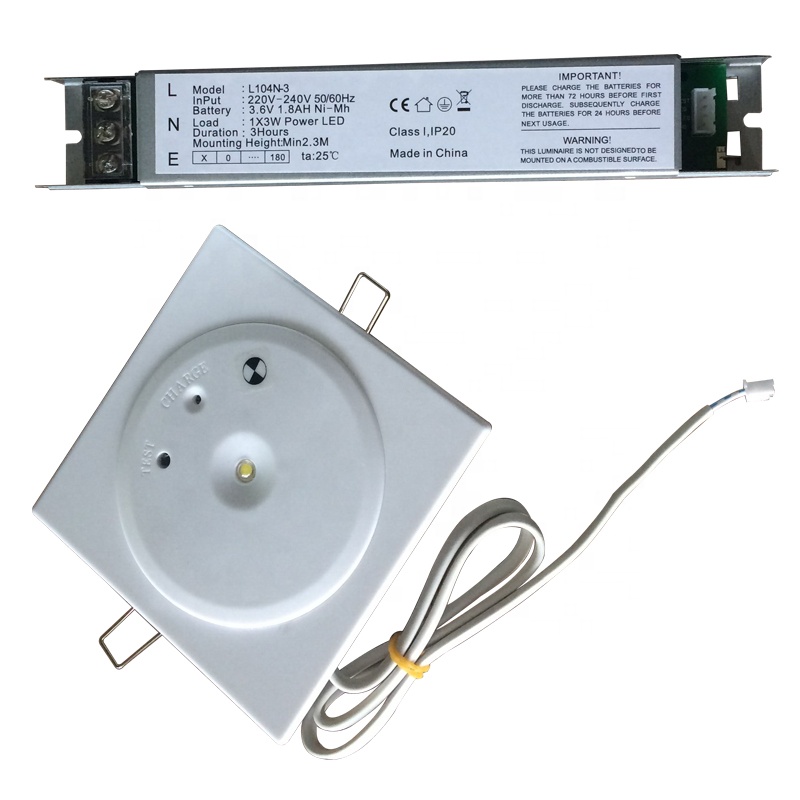 Update Customize LED Rechargeable 1W Emergency Downlight