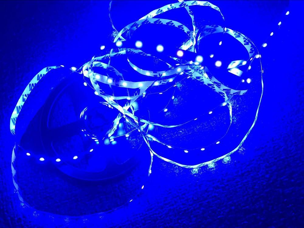 DC12V 60LEDs/m 5m/lot Flexible LED Light 2835 LED Strip