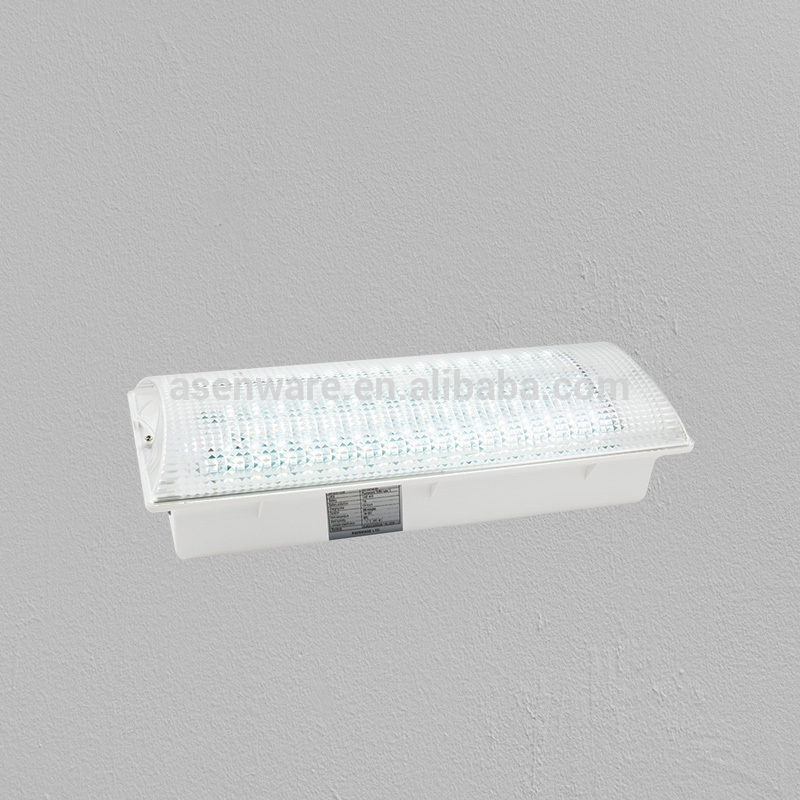 LED Ceiling Light With Emergency