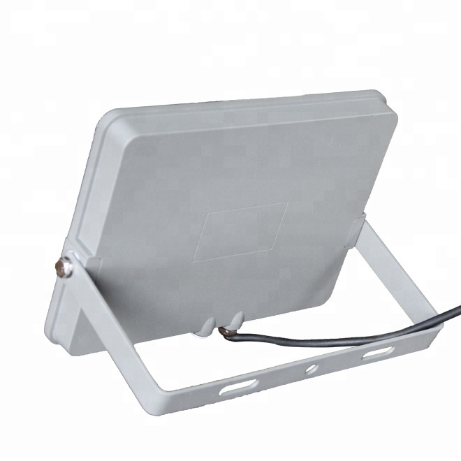 Outdoor IP65 Waterproof professional 20w 30w 50W 100W led flood light