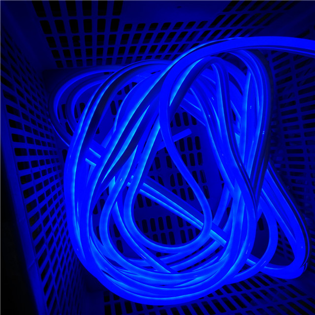 220V 2835 120Leds/m Waterproof Flex led 1m 5m 10m 20m 100m RGB LED Neon Light with remote controller and Power Plug