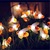 2019 Amazon Hot selling Led solar lamp string outdoor courtyard honey bee string lights wedding decoration small colorful lights