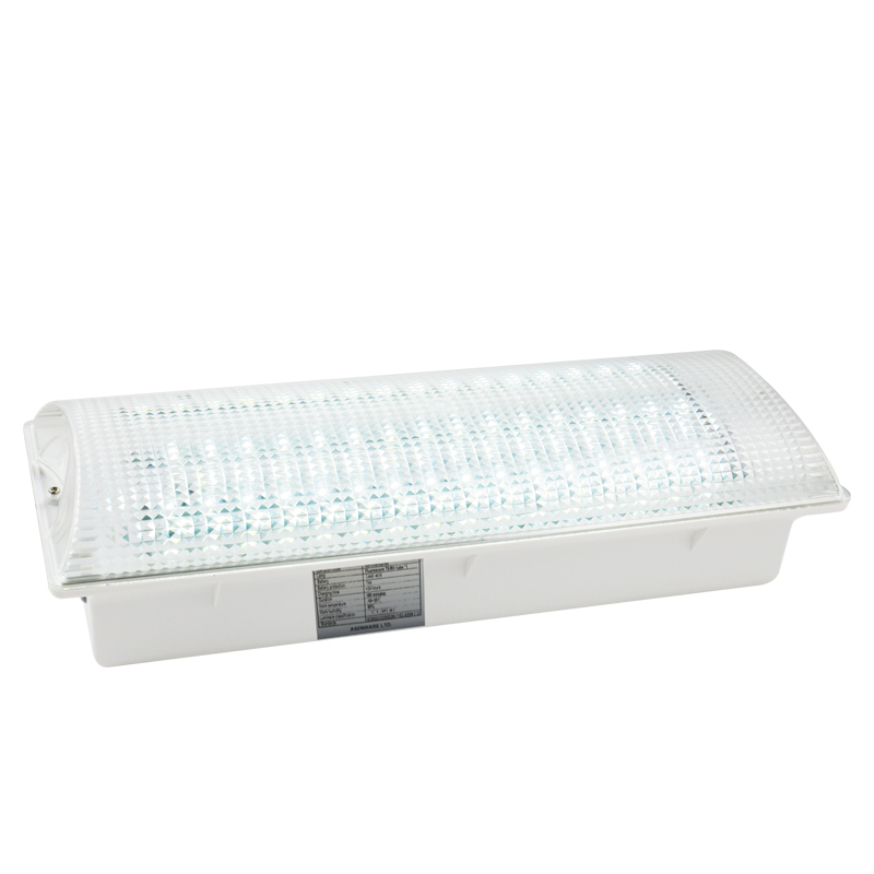 Wall Mounted Type Emergency light emergency exit sign for sale