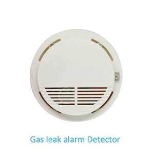 2019 the newest design home detector natural gas