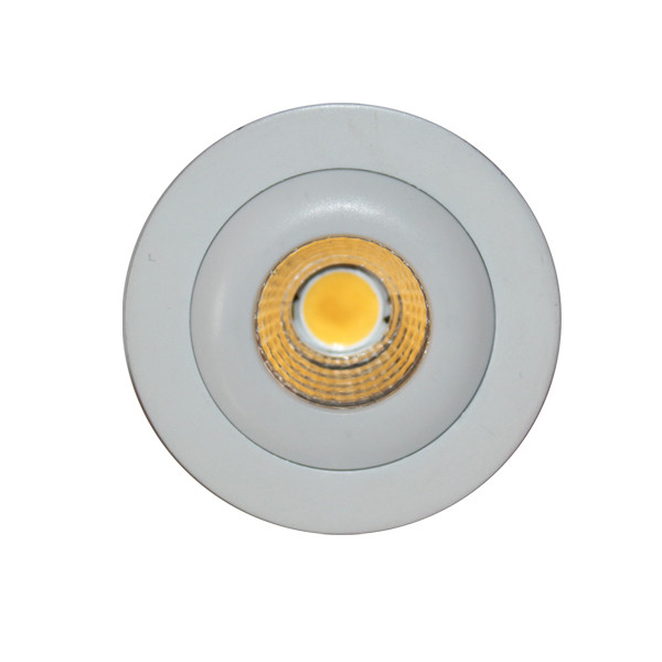 Indoor 9 watt LED Spot Light