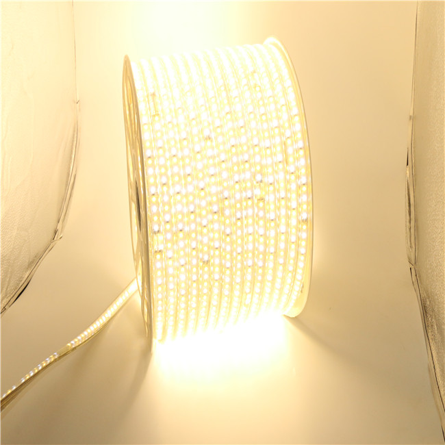 220V 110V LED Strip 5050 50m 100m Waterproof Warm white Rope lighting