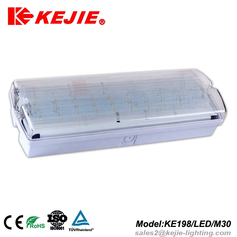 2 X 8W IP65 waterproof emergency light with fluorescent tube