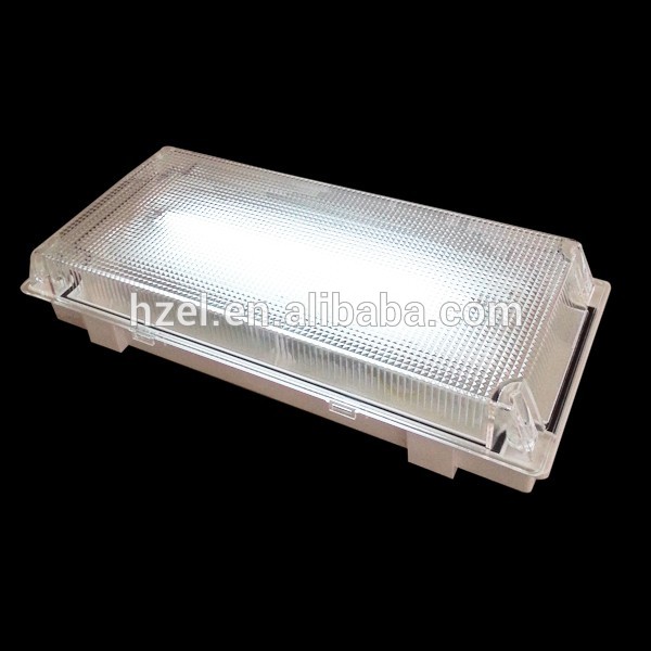 Rechargeable Fluorescent Emergency Lamp Emergency Exit Sign