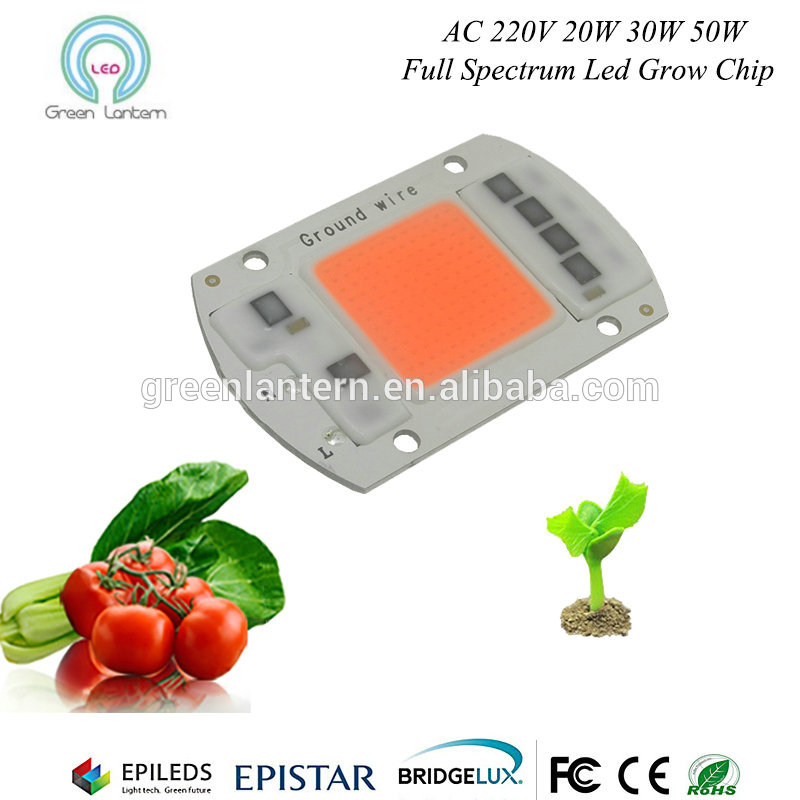 AC 220V 110V 20W 30W 50W 100W 200W LED diode high power full spectrum chip 45mil plant growing light effective energy saving