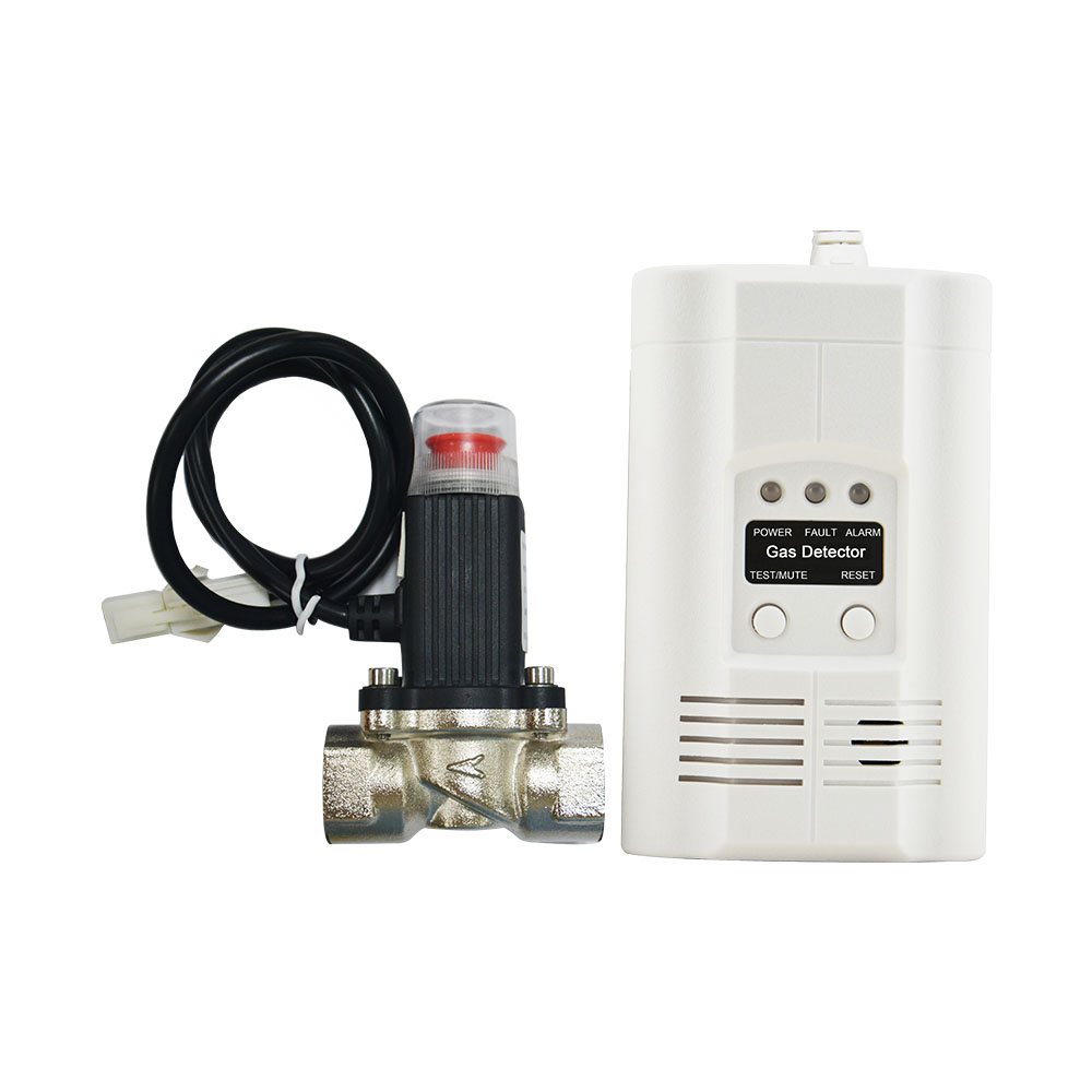 Stand alone industrial LNG carbon monoxide detectors for alarm system
