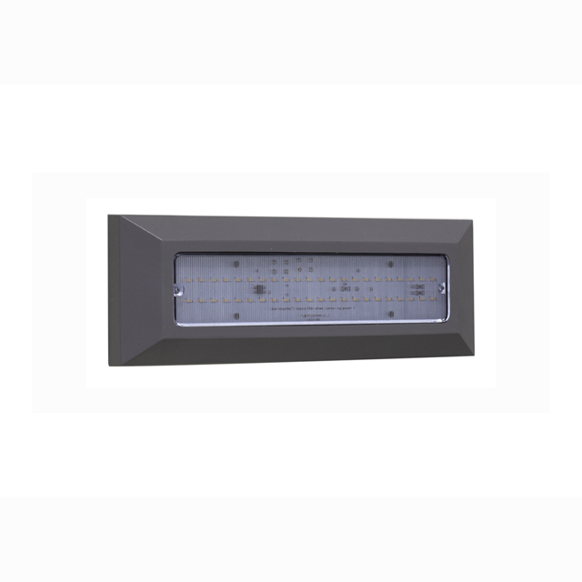 ip65 led wall light (PS-WL29L)