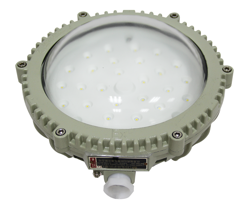 explosion proof ceiling light