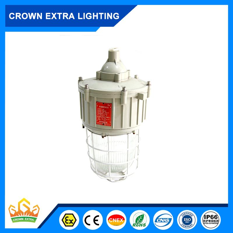 Zone 1 250W Explosion proof HID with cage