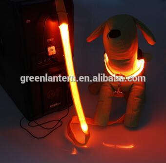 light up LED glowing Dog Leash, USB rechargeable (cable included) Make you & your dog visible