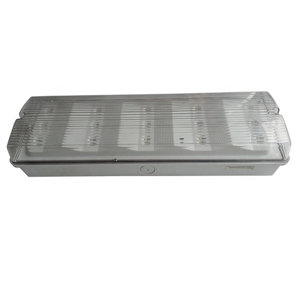 Zhuiming CE RoHS Rechargeable Emergency Lighting