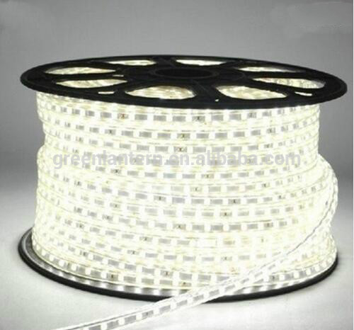 Factory Price Warm White LED Strip 220v