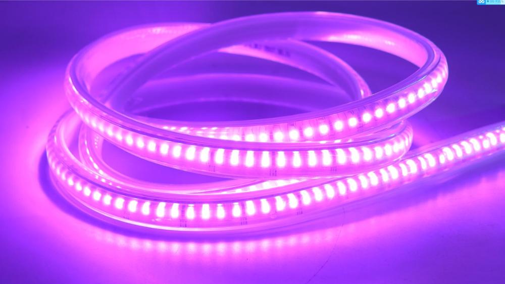 SMD3038 144LEDs/m 220V High Voltage LED Strip from China Factory