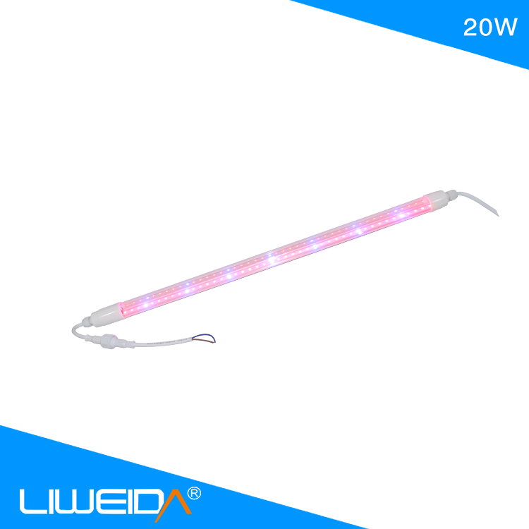 Full Spectrum T8 Led Grow Light for Agriculture