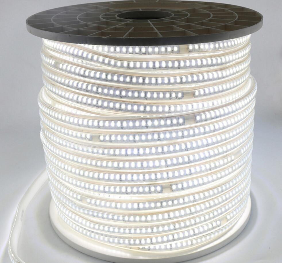 Waterproof IP67 SMD3038 144LEDs/m 220V High Voltage LED Strip Light High Brightness with Factory Price