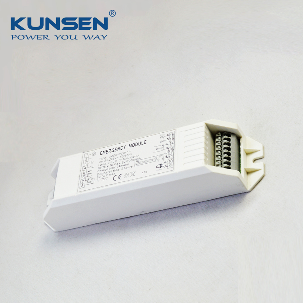 4.8~12V 20W Application In International Led Fixture Emergency Battery Backup