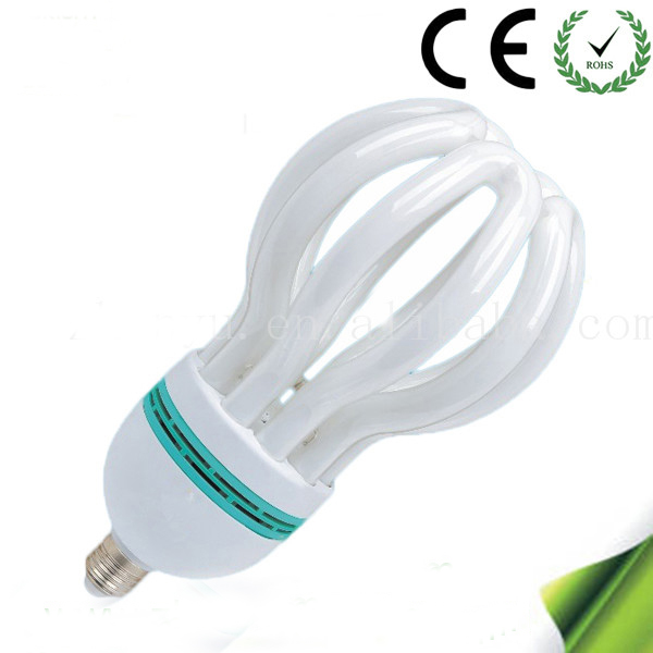 new products looking for distributor compact fluorescent lamp