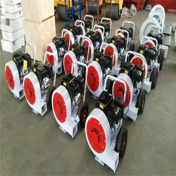 Gasoline Portable Road Cleaning Equipment Road Blower