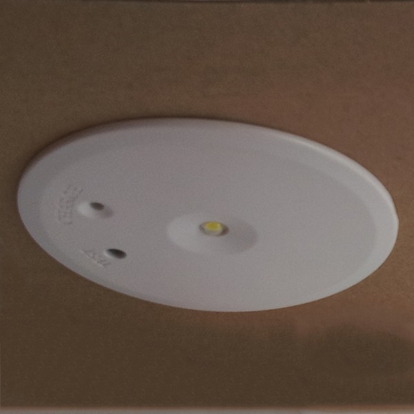 Ni-Cd Battery Circle Ceiling Recessed Mounted Emergency Led Round Down Light