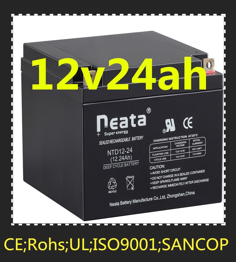 12V24.0Hah wholesale rechargeable lead acid battery in storage batteries