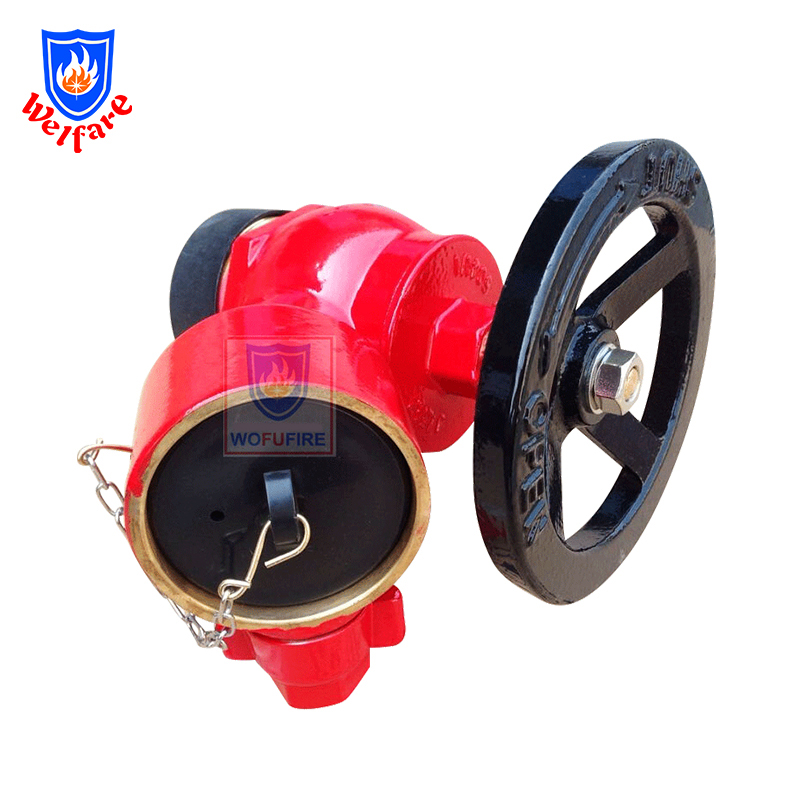 2.5 BS336 Screwed fire hydrant landing valve parts