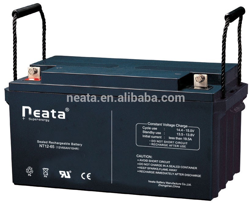 rechargeable AGM battery