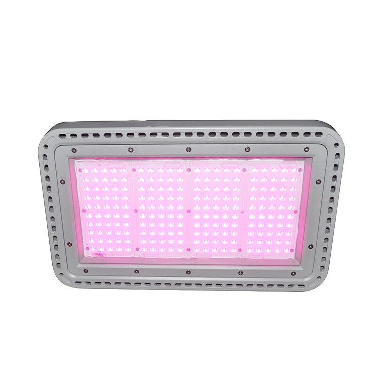 Hydroponic Full spectrum IP65 panel 200w cheap led grow lights plant lamp