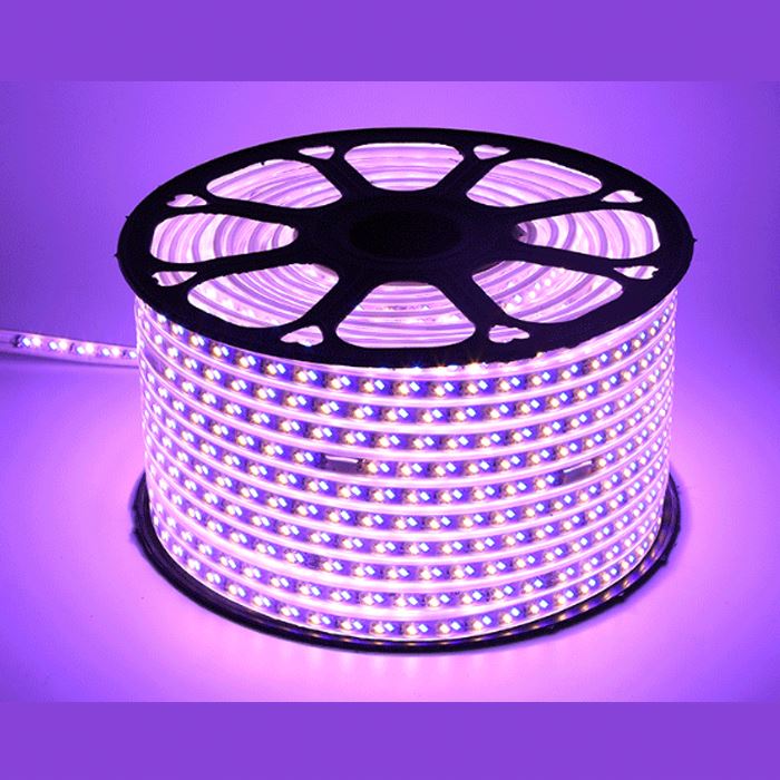 IP65 waterproof flexible led strip 5050 pure white double line led strip for Office