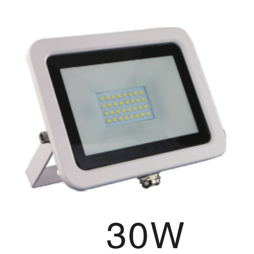 Outdoor Waterproof 10w 30w 50w 100w LED Floodlight