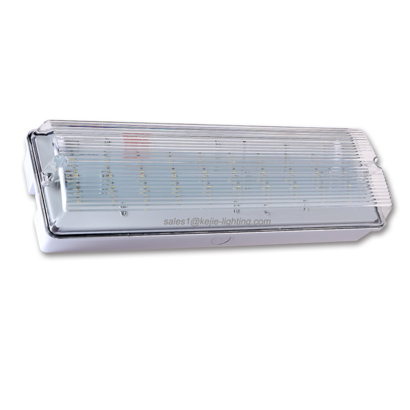 The most popular and compact emergency led lights emergency bulkhead light with 3H battery backup