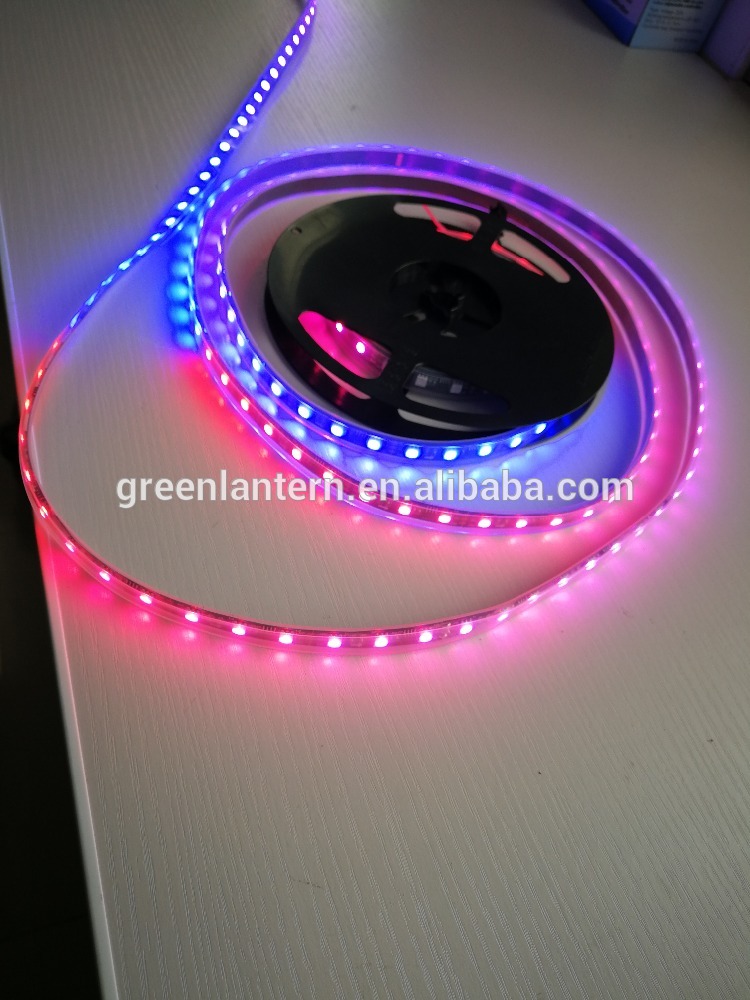 Intelligent 5 volt Waterproof 5050 digital RGB 144 led strip ws2812