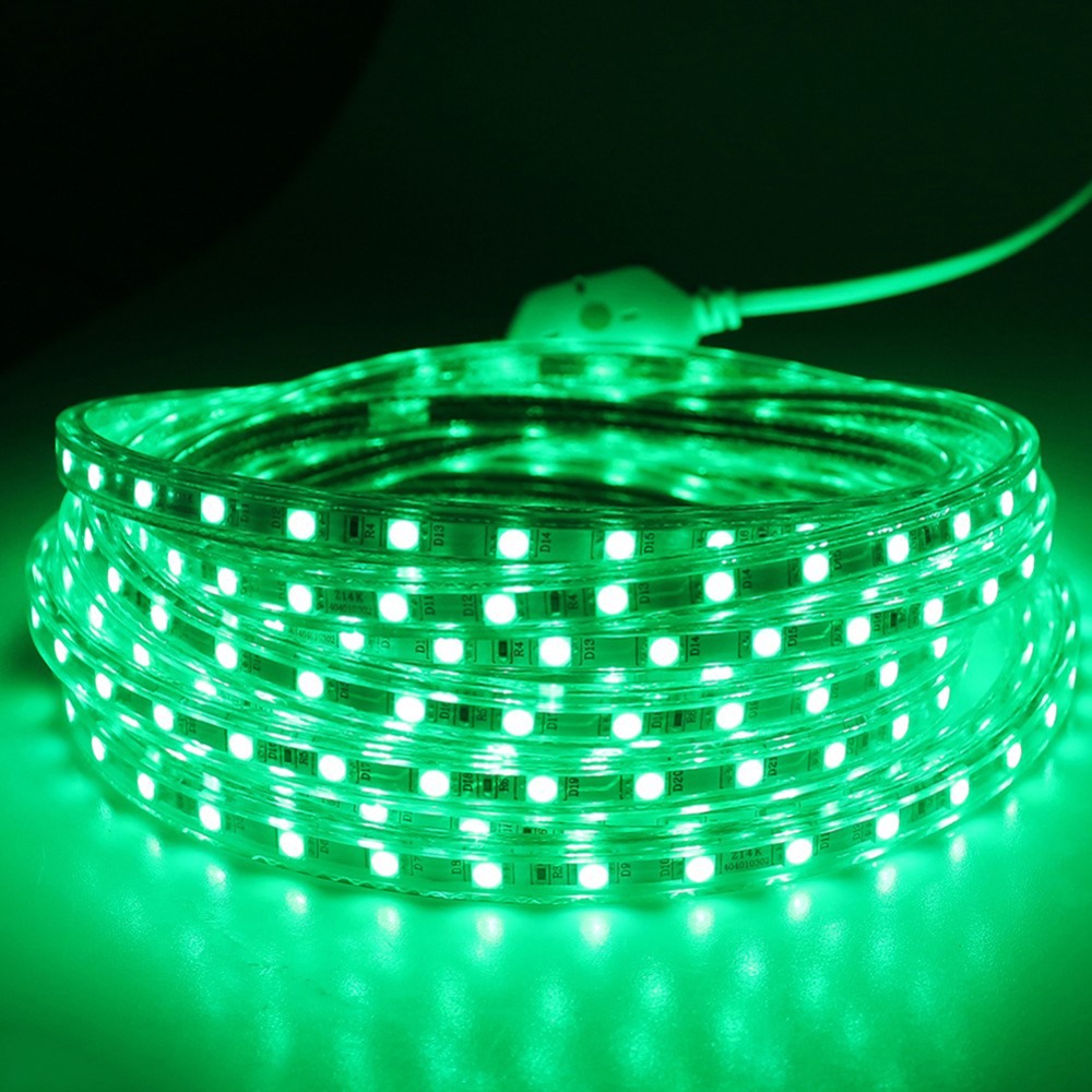120leds/m 100m SMD 3014 220V 240v 1m 2m 3m 4m 5m 10m 15m 20m 25m 50m Power plug waterproof led strip lights