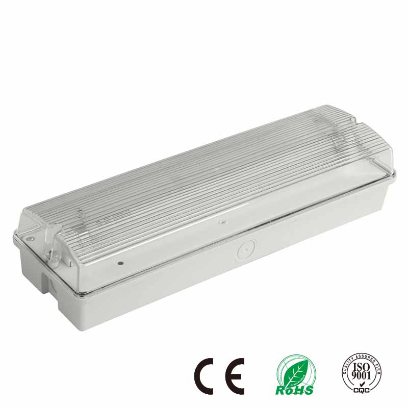 CE Approval IP65 Fluorescent Lamp Rechargeable Emergency Light