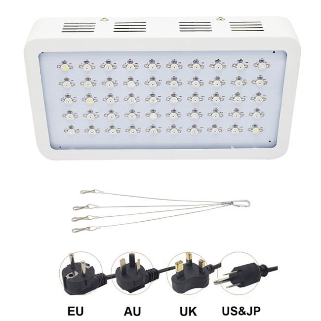 300w 600w 800w 1000w 1200w 1500w 1800w 2000w Full Spectrum Led Grow Lights with 2 years warranty